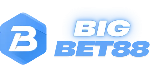 bigbet88.in